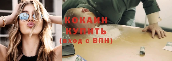 меф Арсеньев