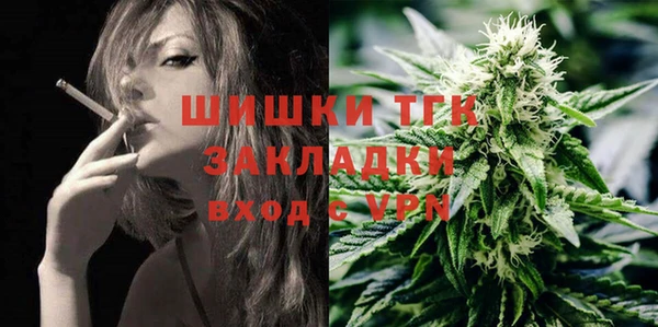 меф Арсеньев