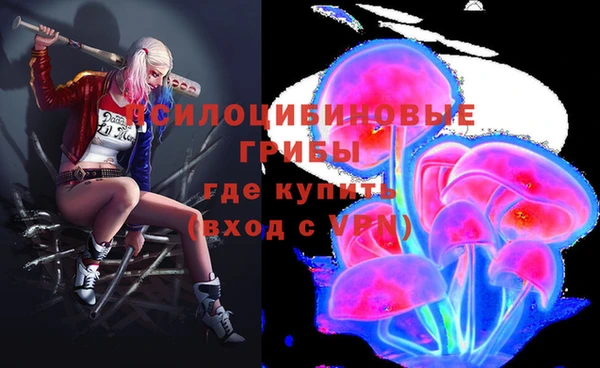 меф Арсеньев